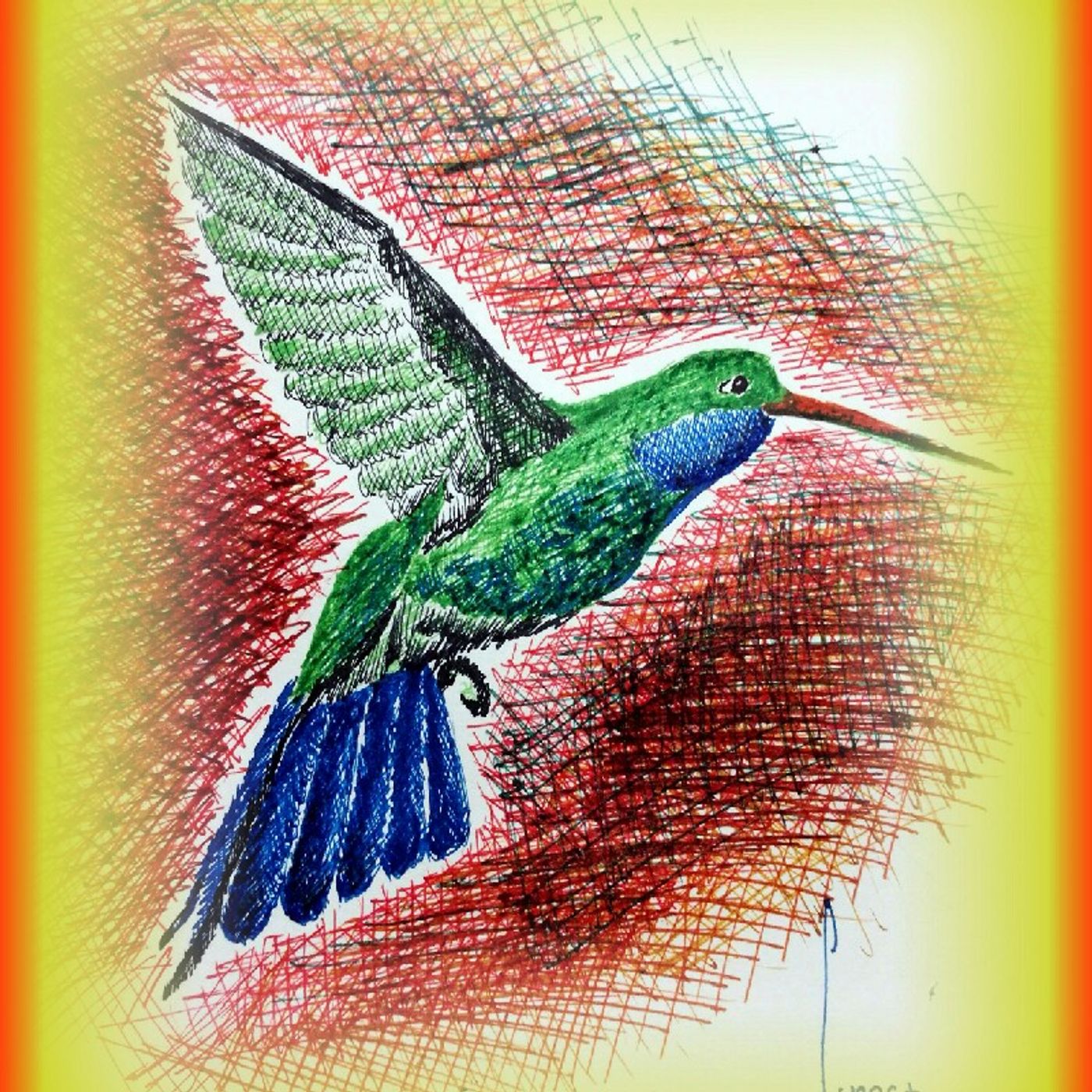 El show de La Sonrisa Del Colibrí