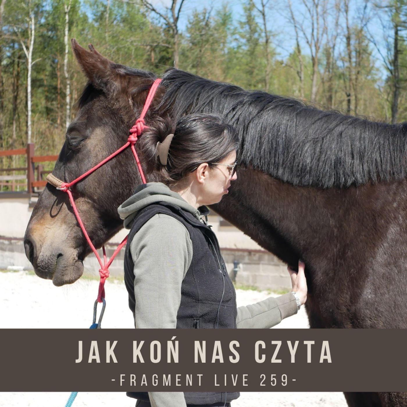 Jak koń nas czyta - fragment live 259 episode artwork