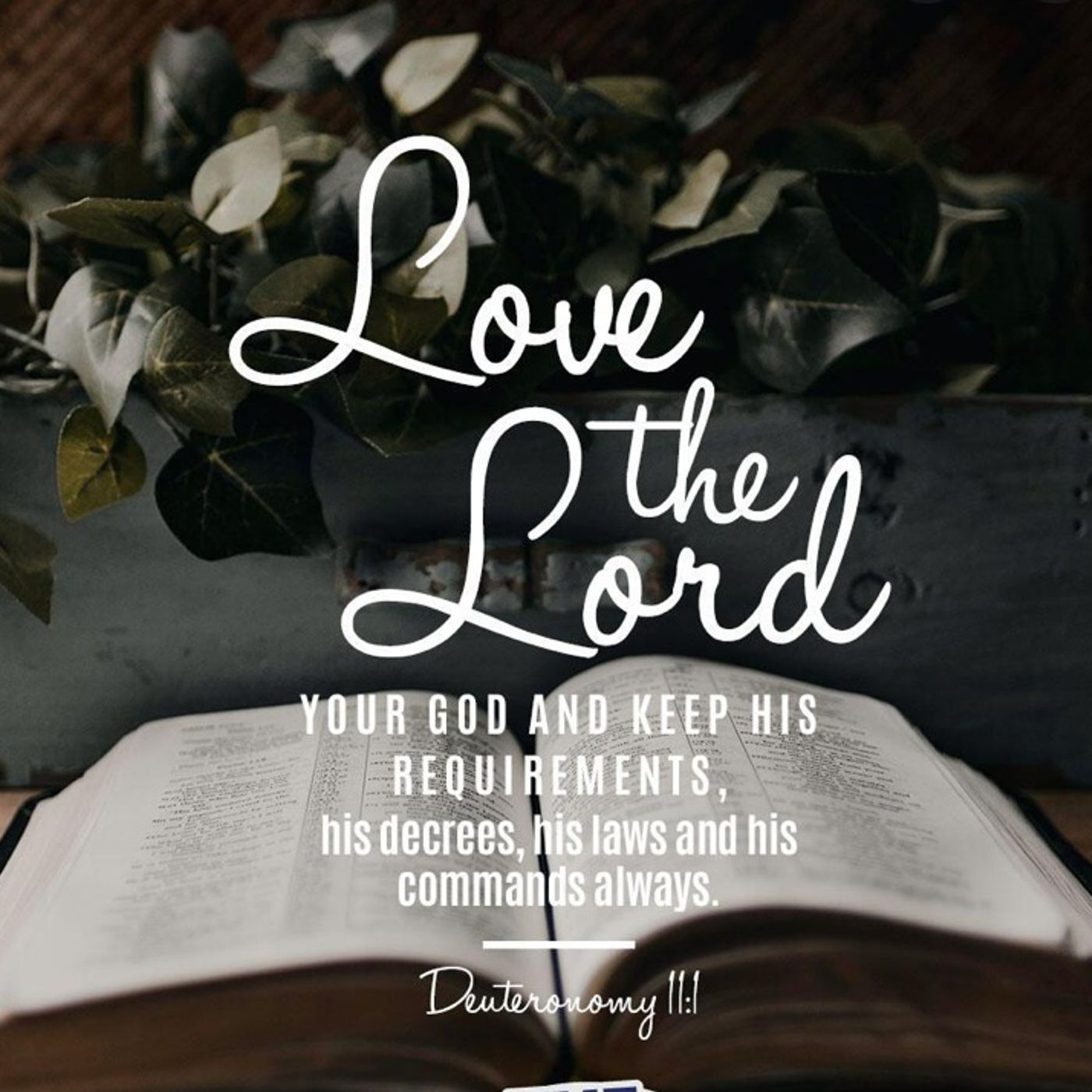 Deuteronomy chapter 11