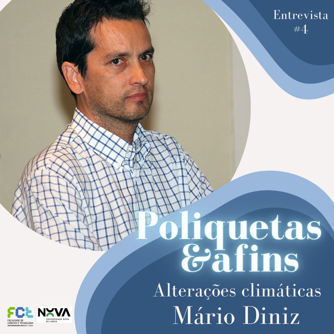 Poliquetas e afins