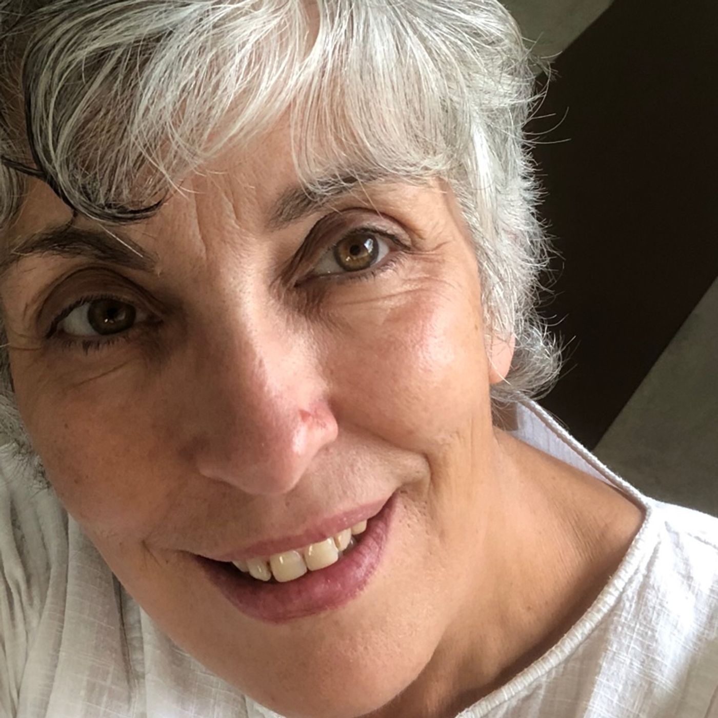 Forgiveness. A Wisdom Circle Satsang with Sudha Mataji 8/4/19 episode artwork
