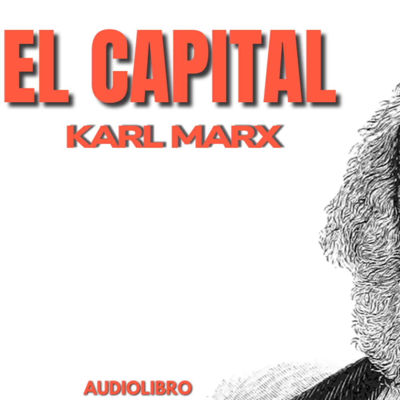 🎧 EL CAPITAL – KARL MARX | AUDIOLIBRO COMPLETO EN ESPAÑOL 🏭📚 CAPÍTULO 13 ( Parte 1)