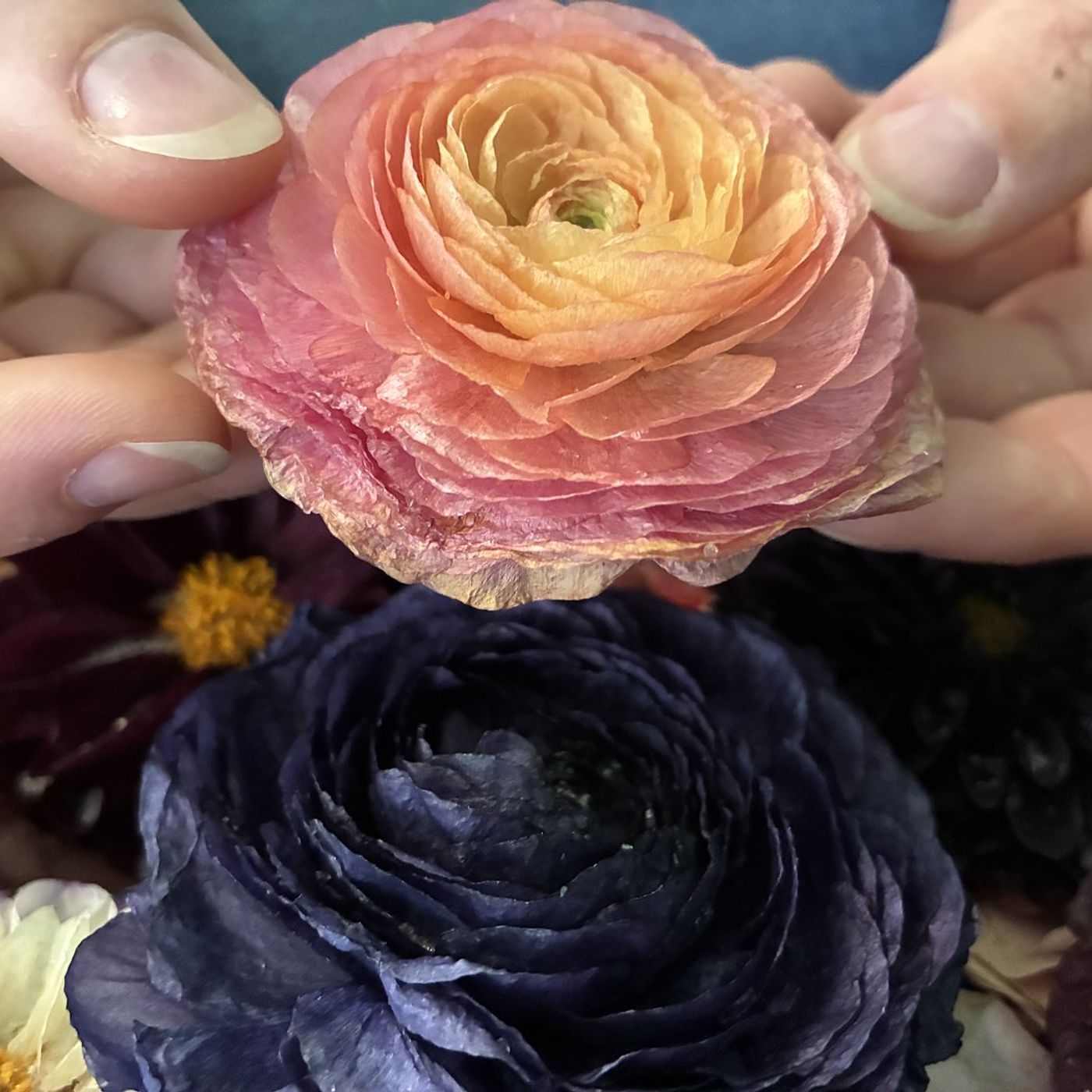 Illinois Extension to offer flower arranging workshop July 16 in Henry episode artwork