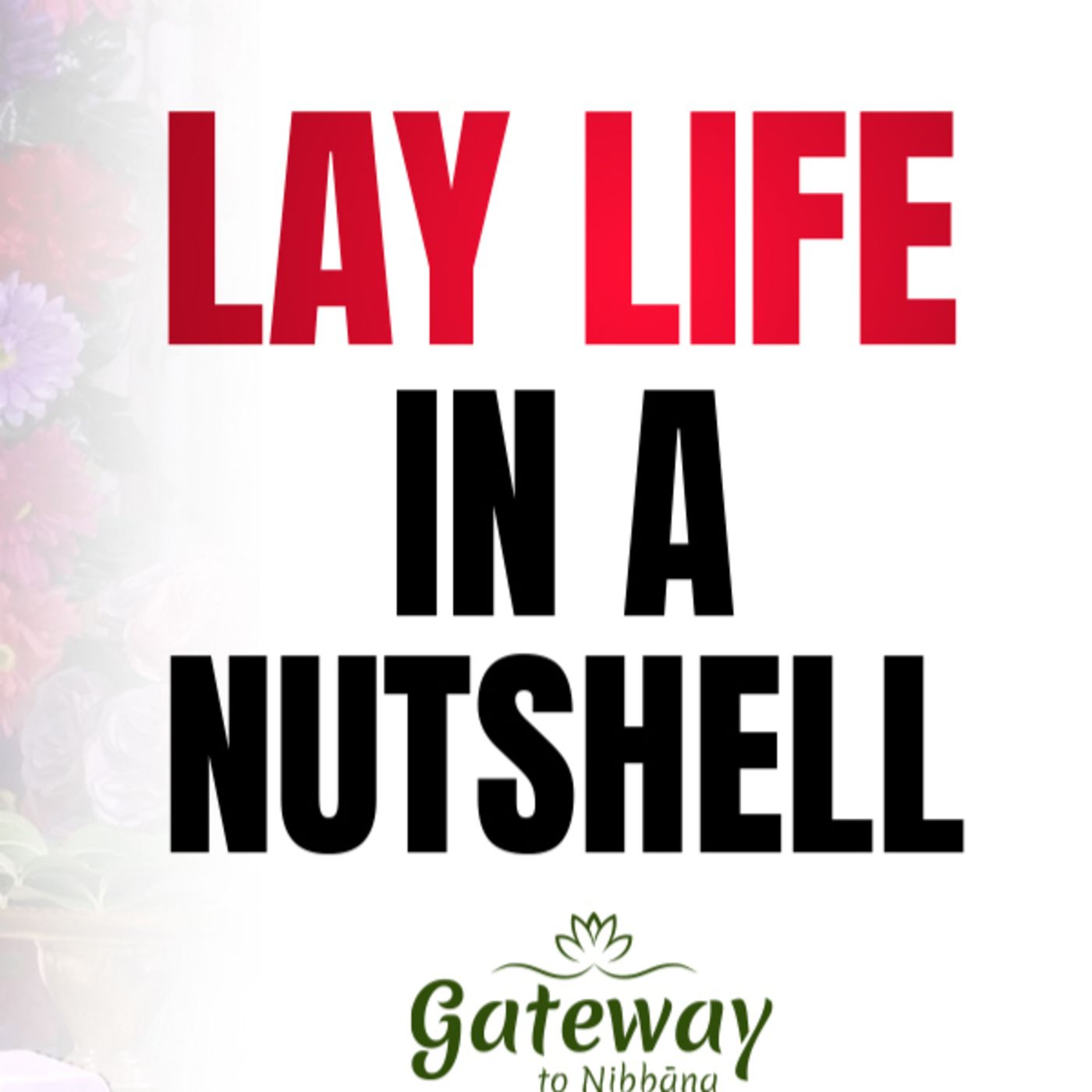 Lay Life in a Nutshell