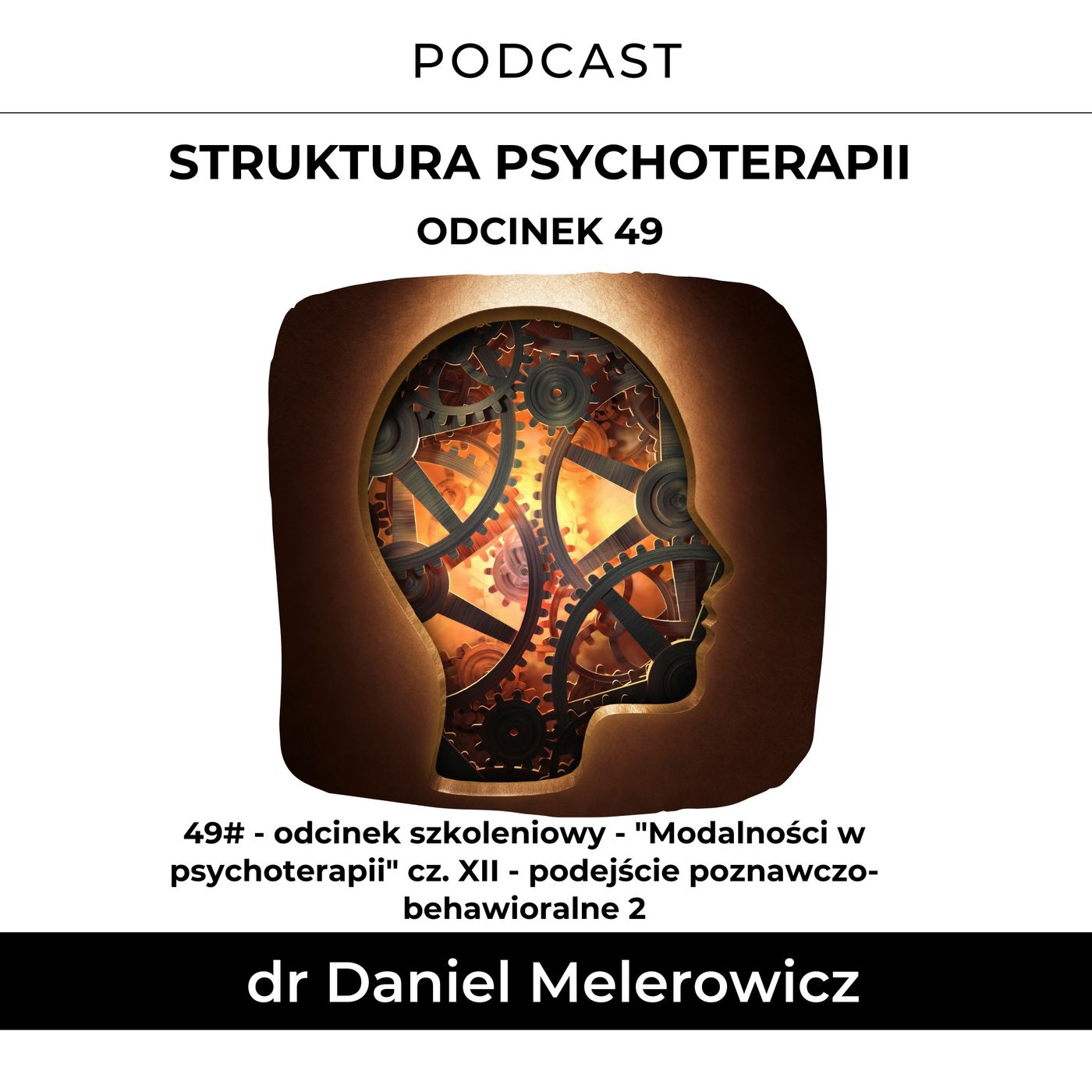 Struktura Psychoterapii