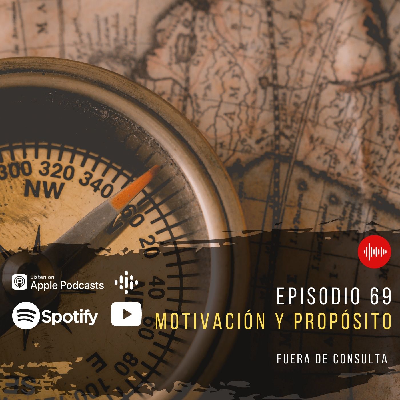 Fuera de Consulta