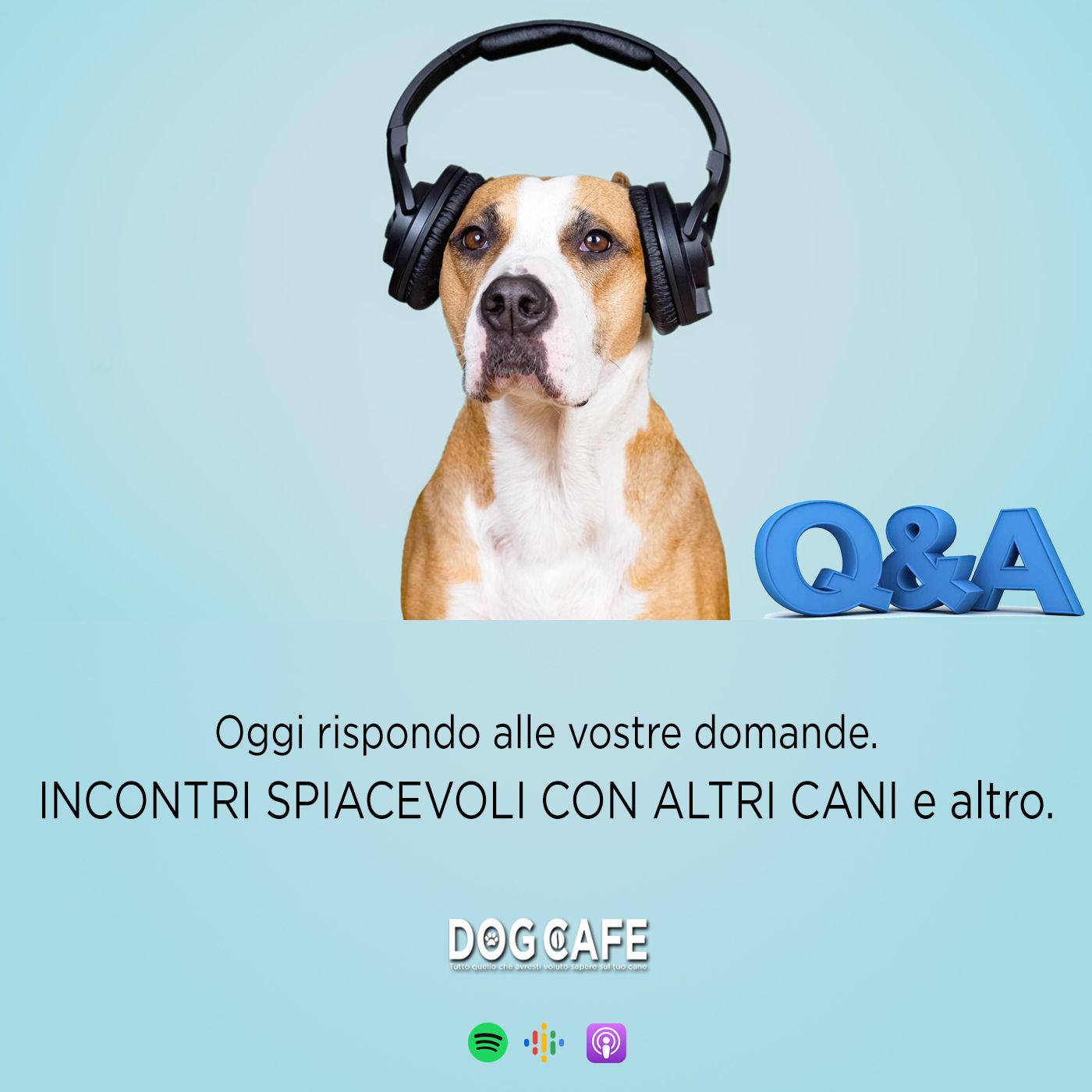 Dog Cafe Podcast