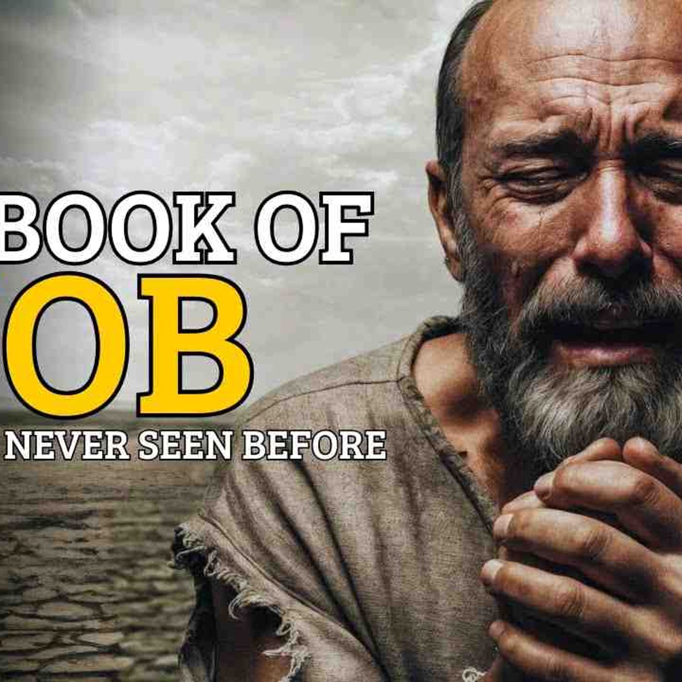 The Book of Job Like You_ve Never Seen Before episode artwork