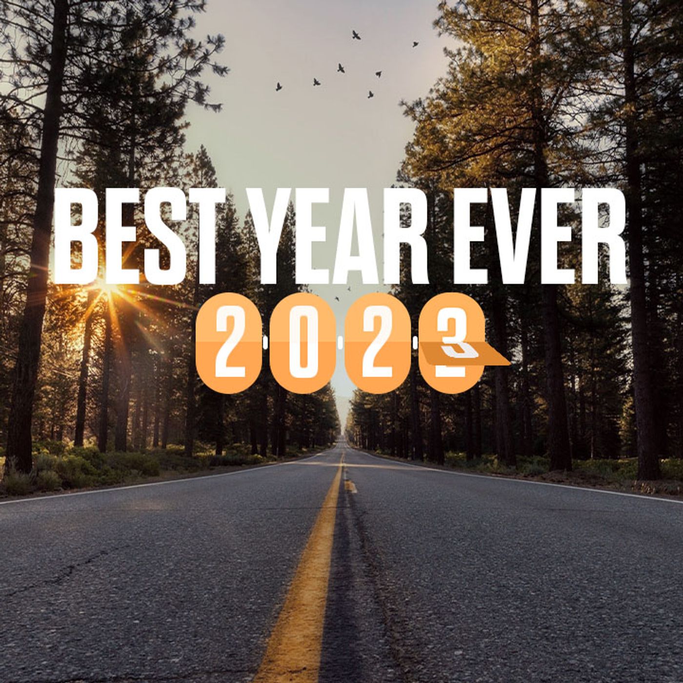 Best Year Ever episode artwork