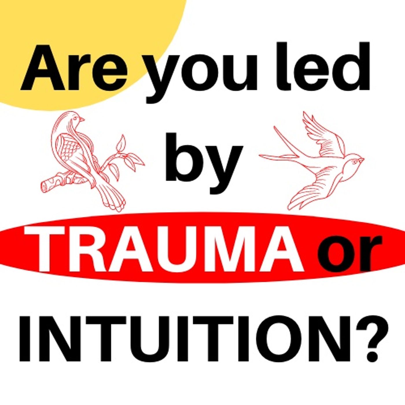 Intuition vs Trauma