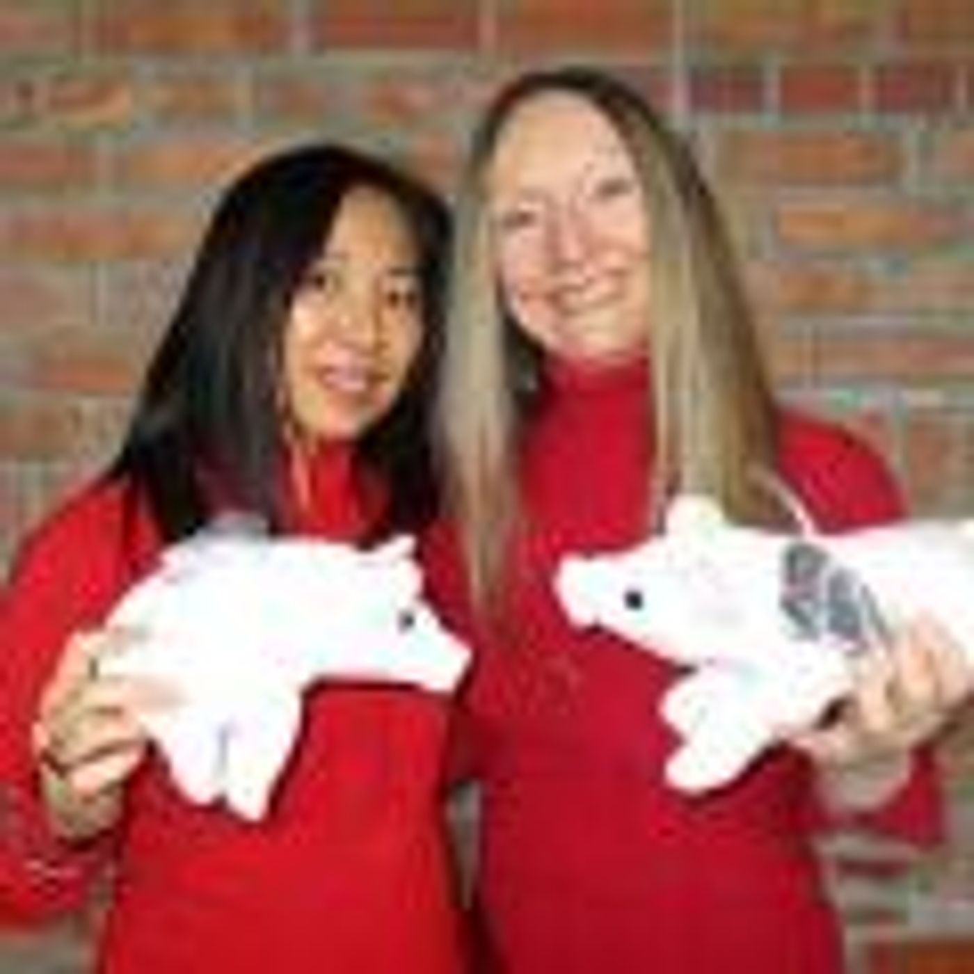 Feng Shui and The Year Of The Pig with Cindylee Yelland and Keiko Bryshun