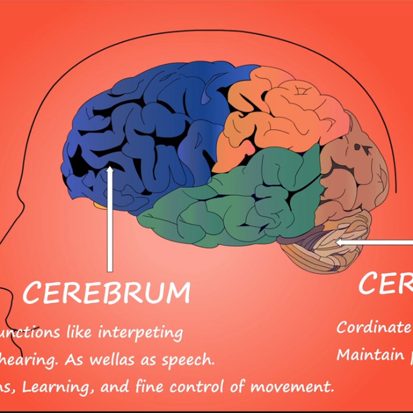 S56E11: Is The “Mind” Part Of The Human Heart Or A Part Of The Human Brain Or A Bit Of Both