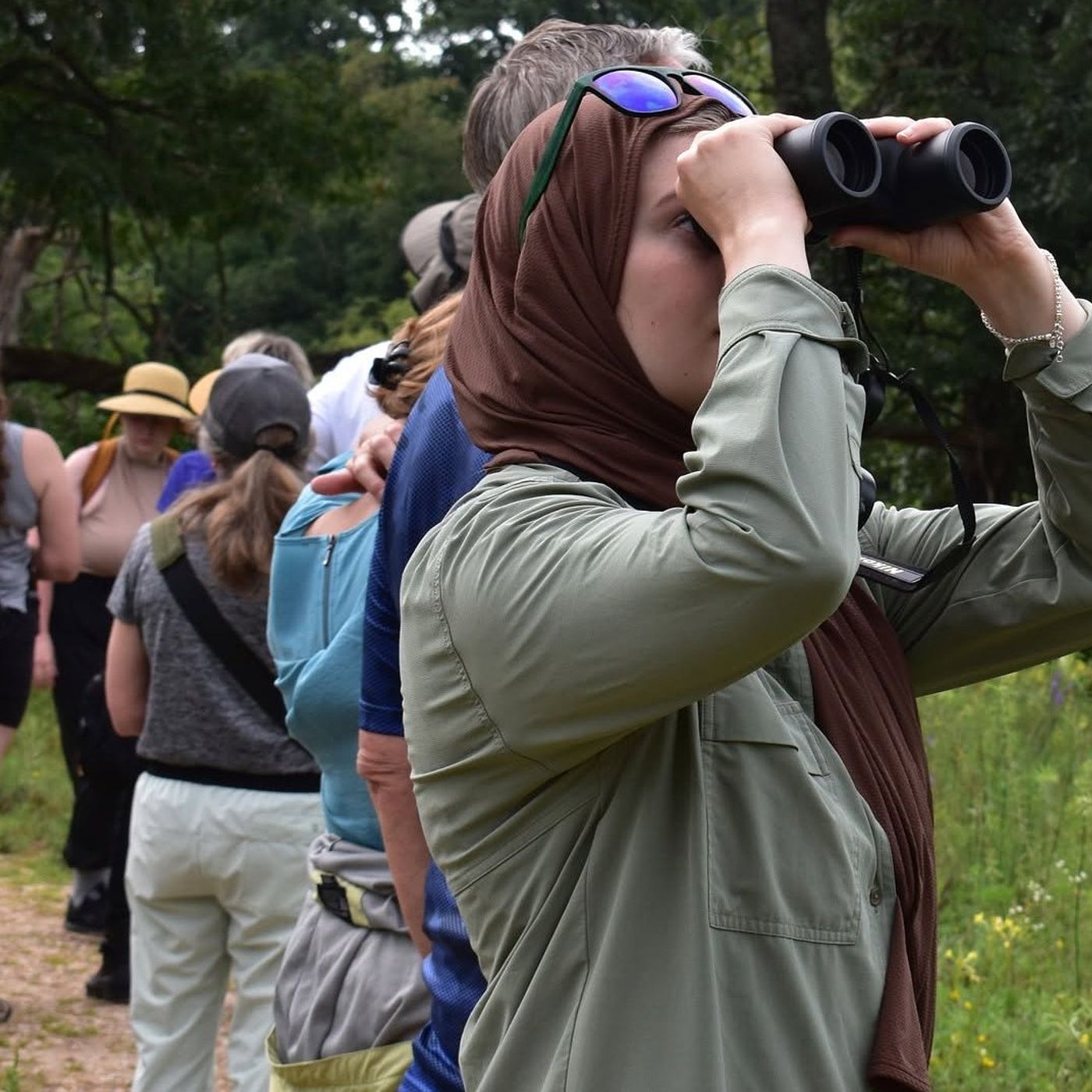 U of I Extension to offer birdwatching hikes series in Sept. 12 and Oct. 10 Hennepin episode artwork