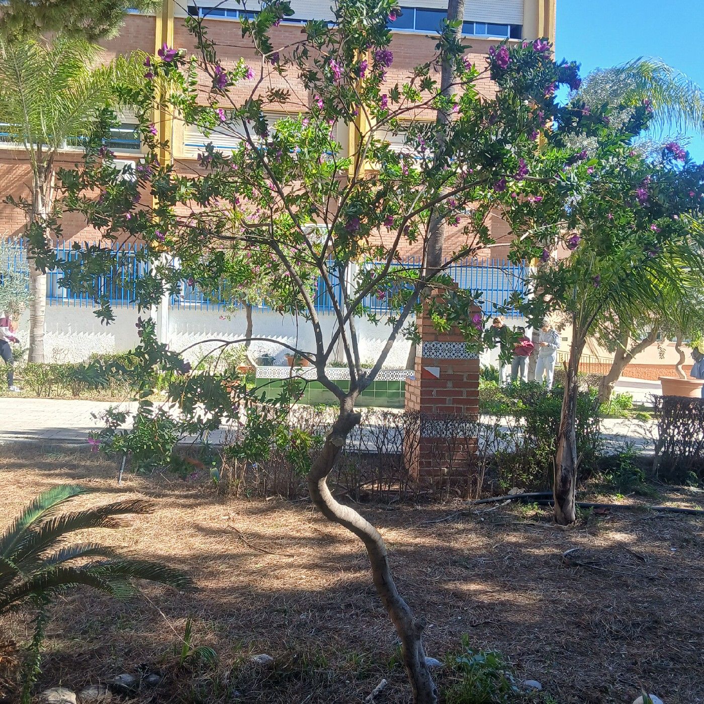 Women in Science cover art