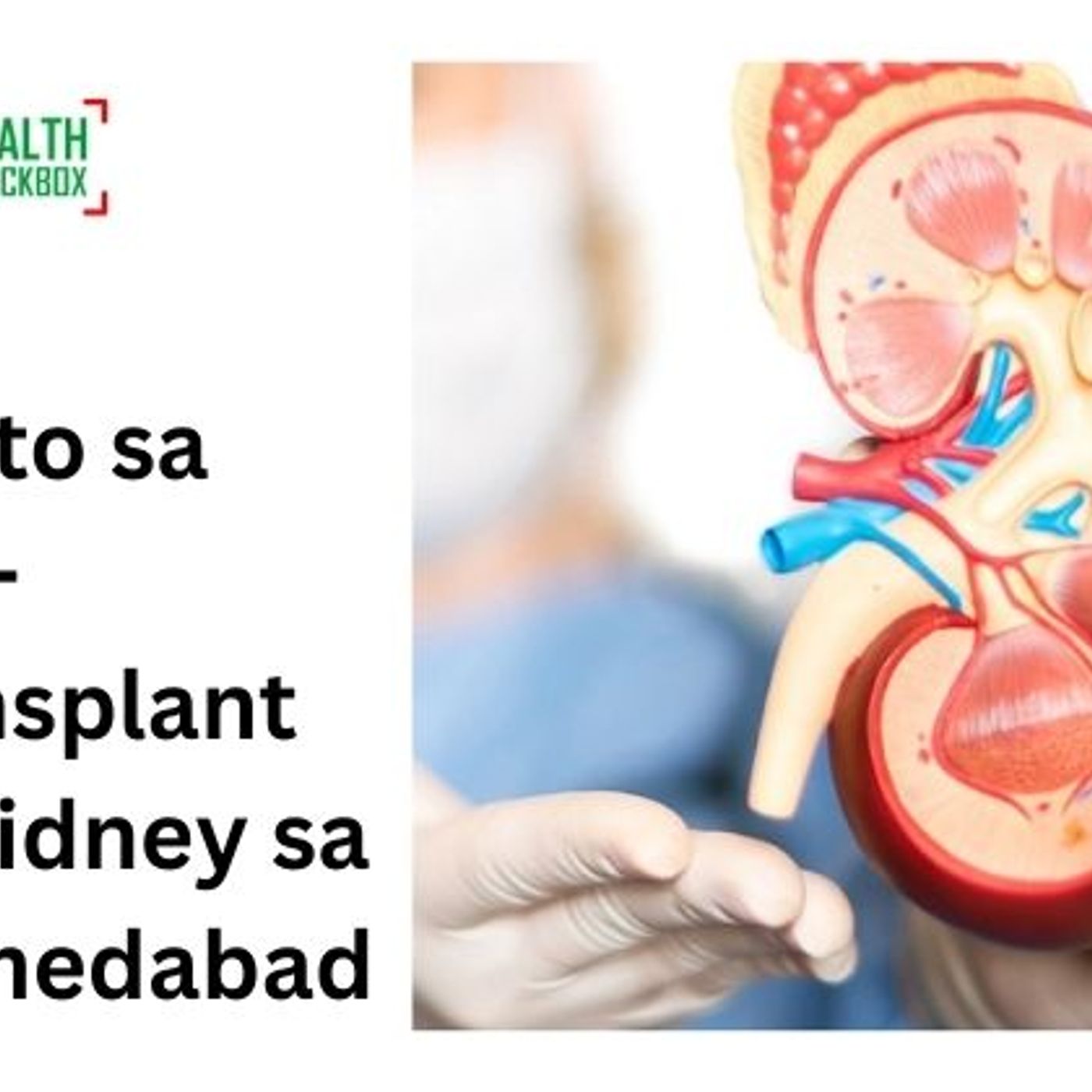 Pila ang gasto sa kidney transplant sa Ahmedabad? episode artwork