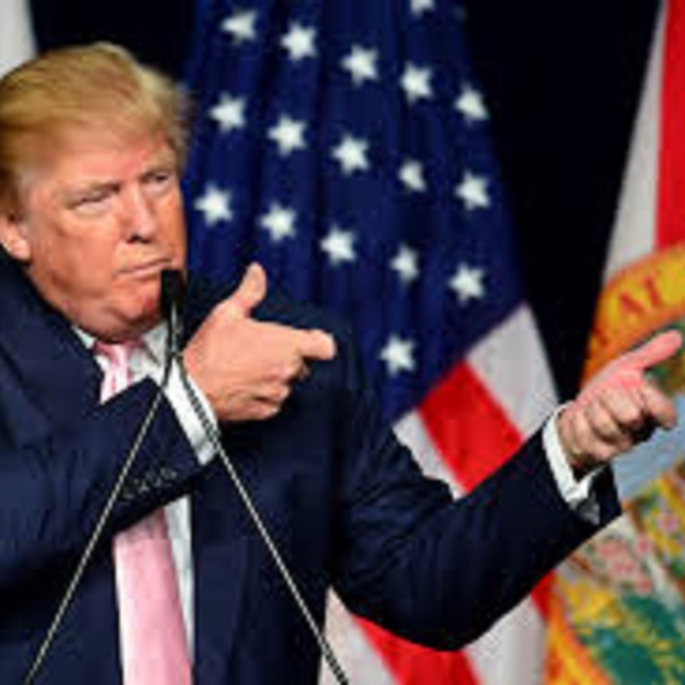 Cosa succede se Donald Trump perdesse le elezioni presidenziali dell'anno 2020? episode artwork