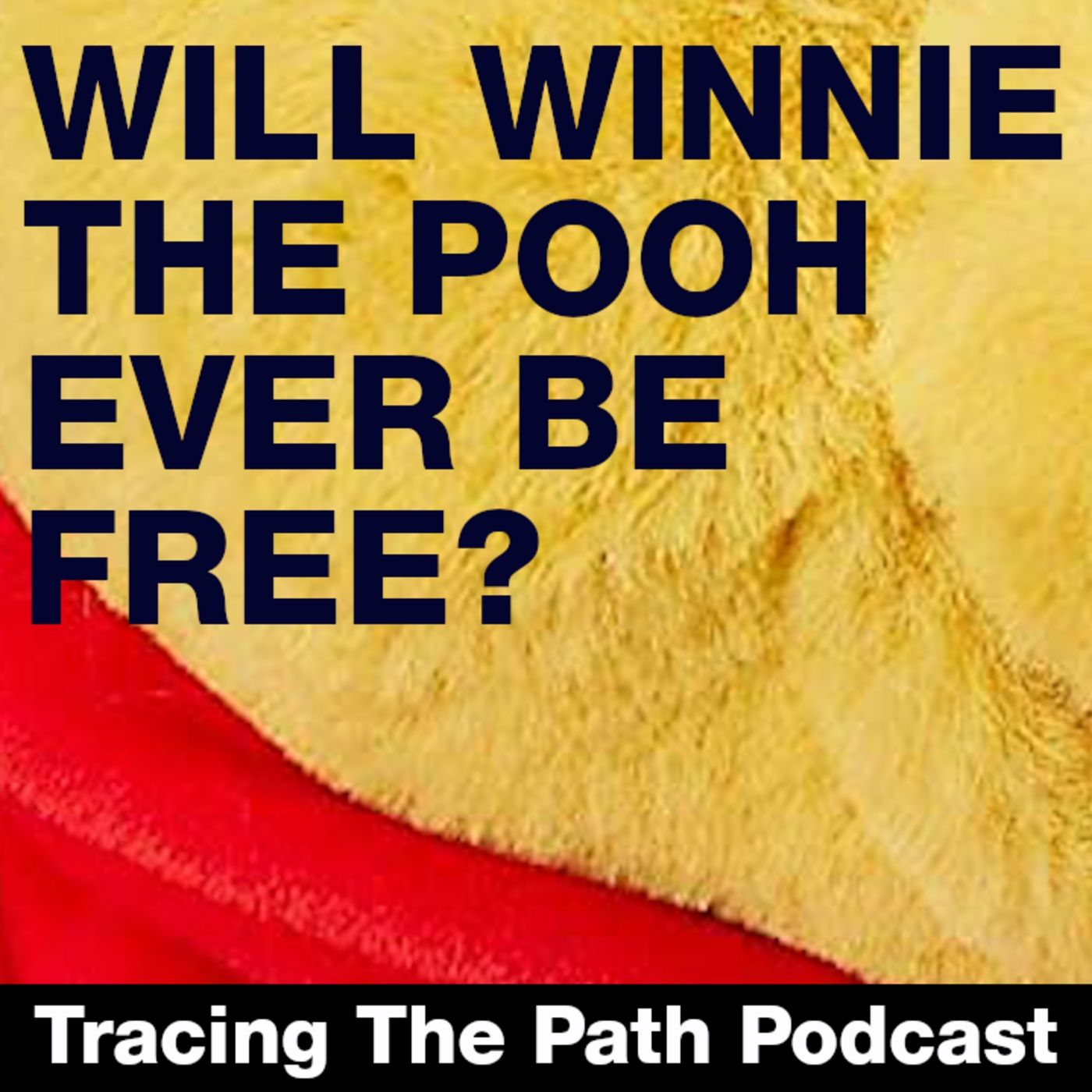 Episode 28: Will Winnie the Pooh Ever Find Freedom? episode artwork
