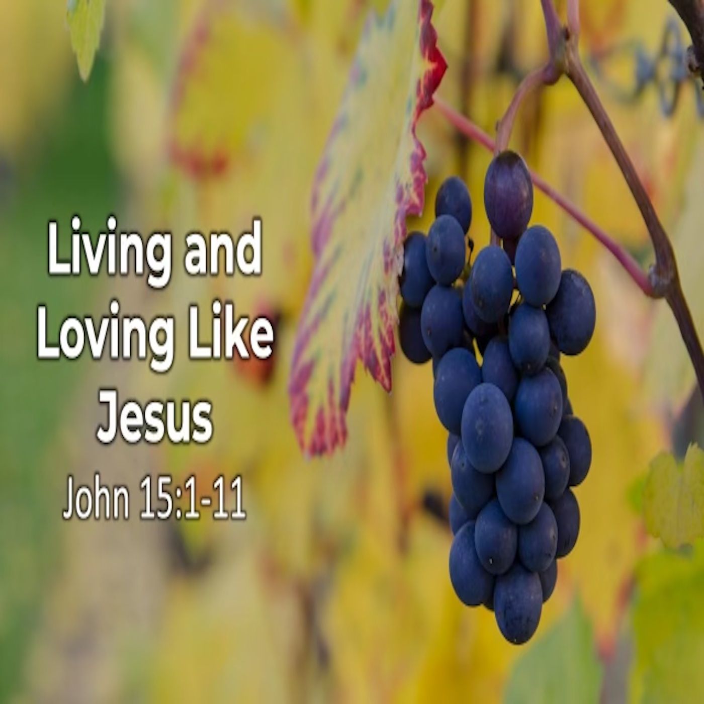 Forest Baptist Church Podcast