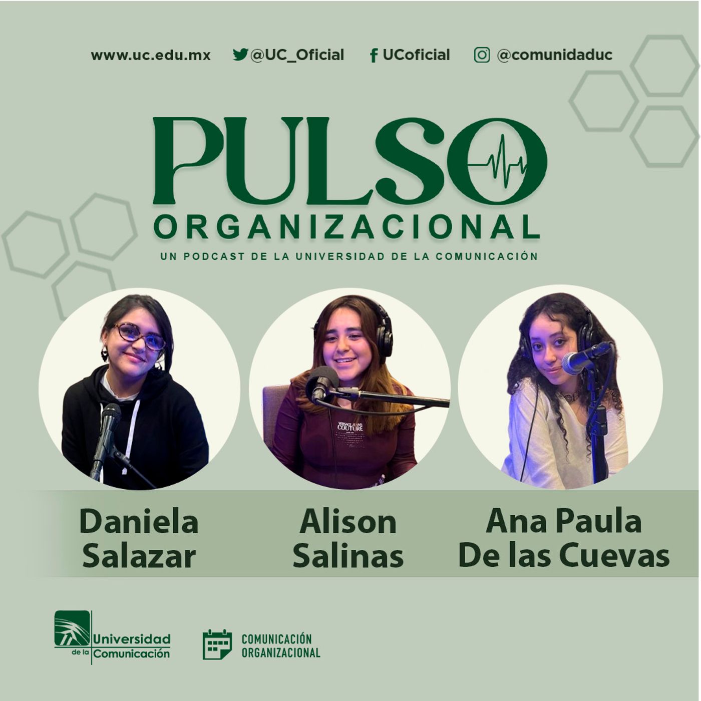 Pulso Organizacional