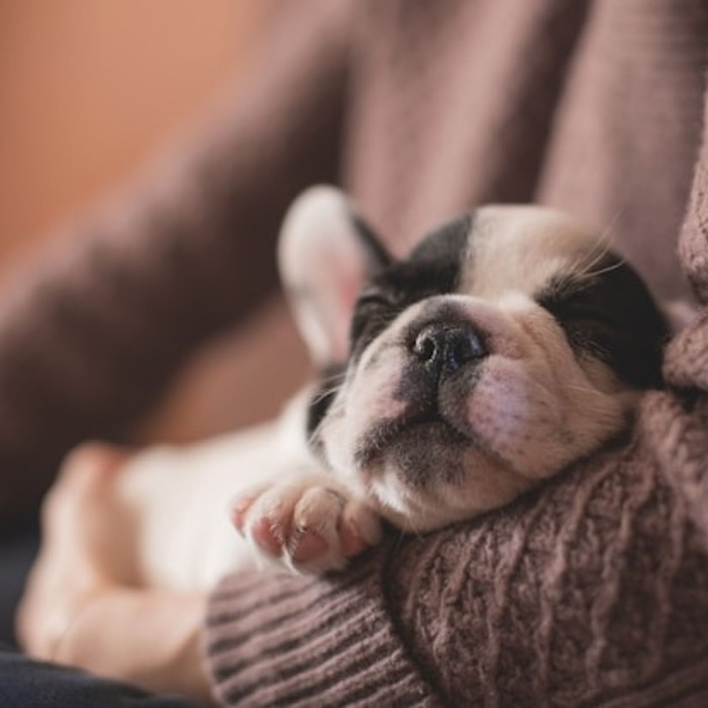 Relaxation pour un sommeil profond - Méditation guidée pour bien dormir