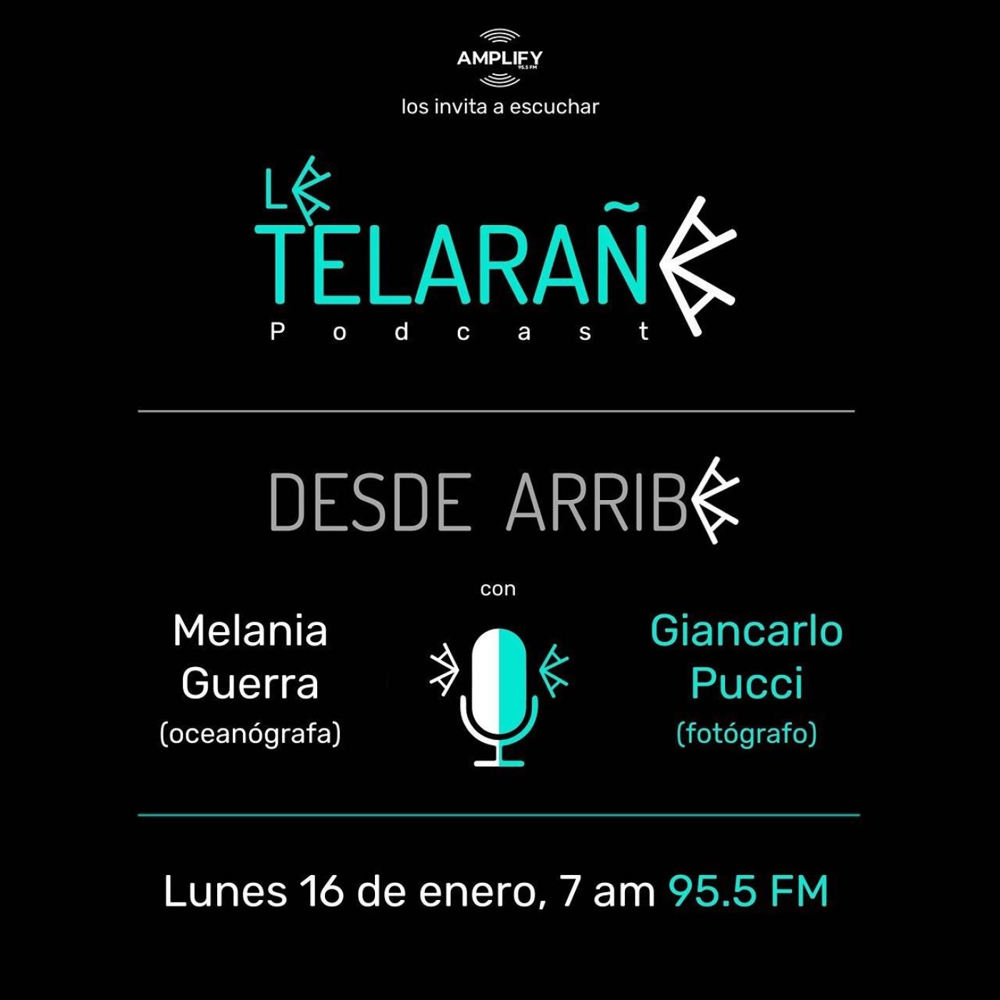 Portada de La Telaraña