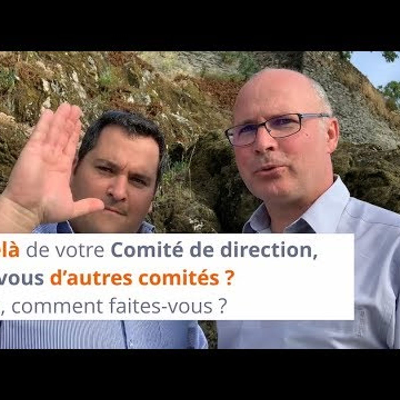 COBEL® - Développeur de culture® : QHSE - RSE - Management