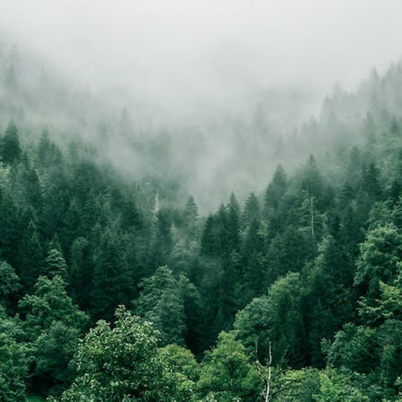 When Does Bible Neglect Become Sinful?