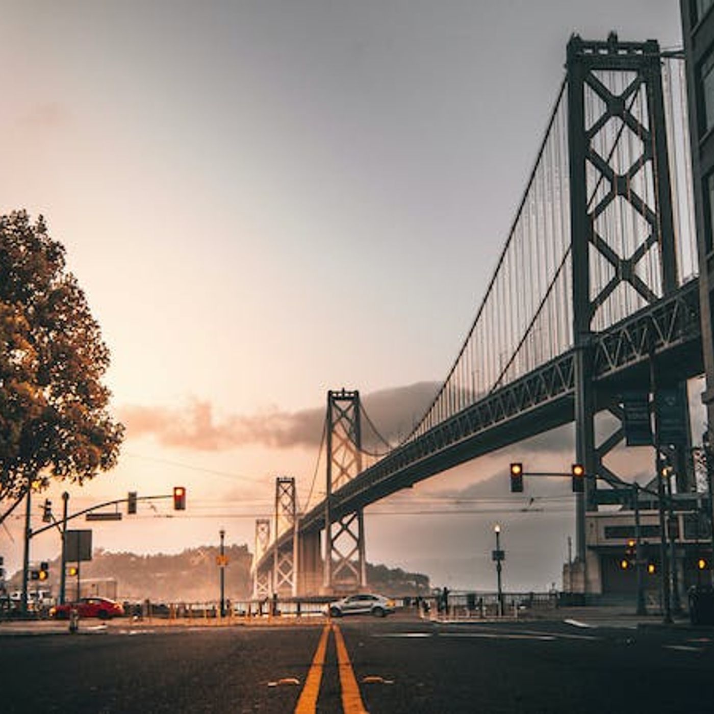 Should We Expect Revival or More Social Decay?