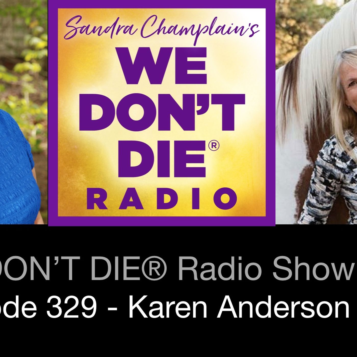 329  Karen Anderson - The Amazing Afterlife of Animals (from Police Officer to Animal Communicator!)