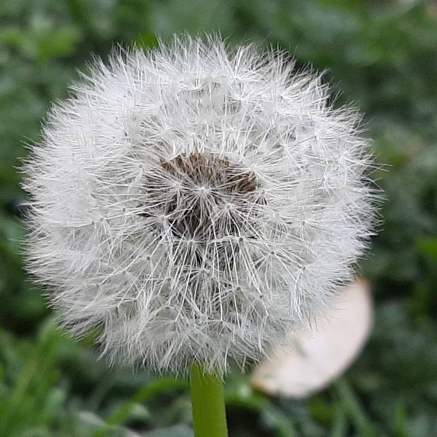 Tracce dalla quarantena