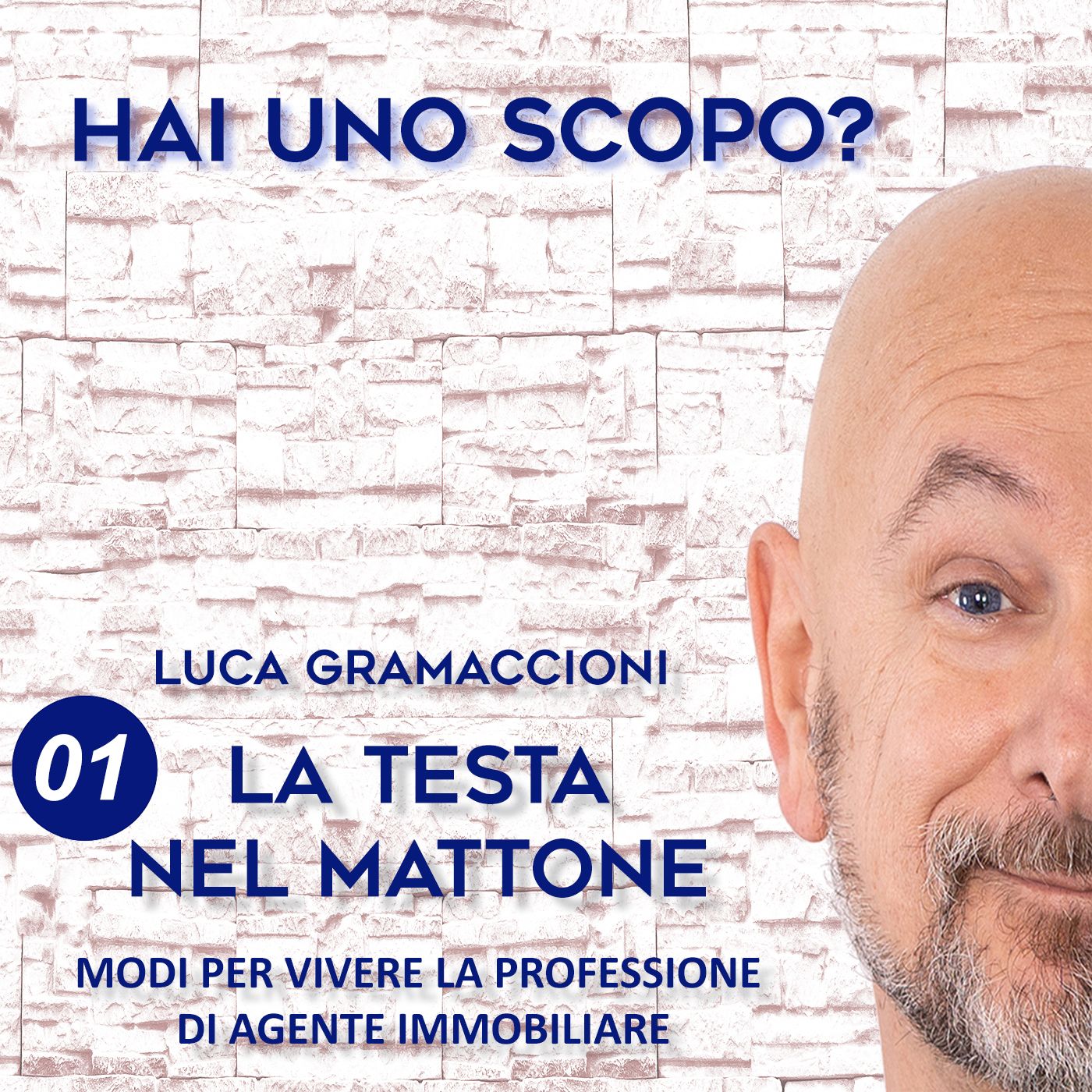 LA TESTA NEL MATTONE