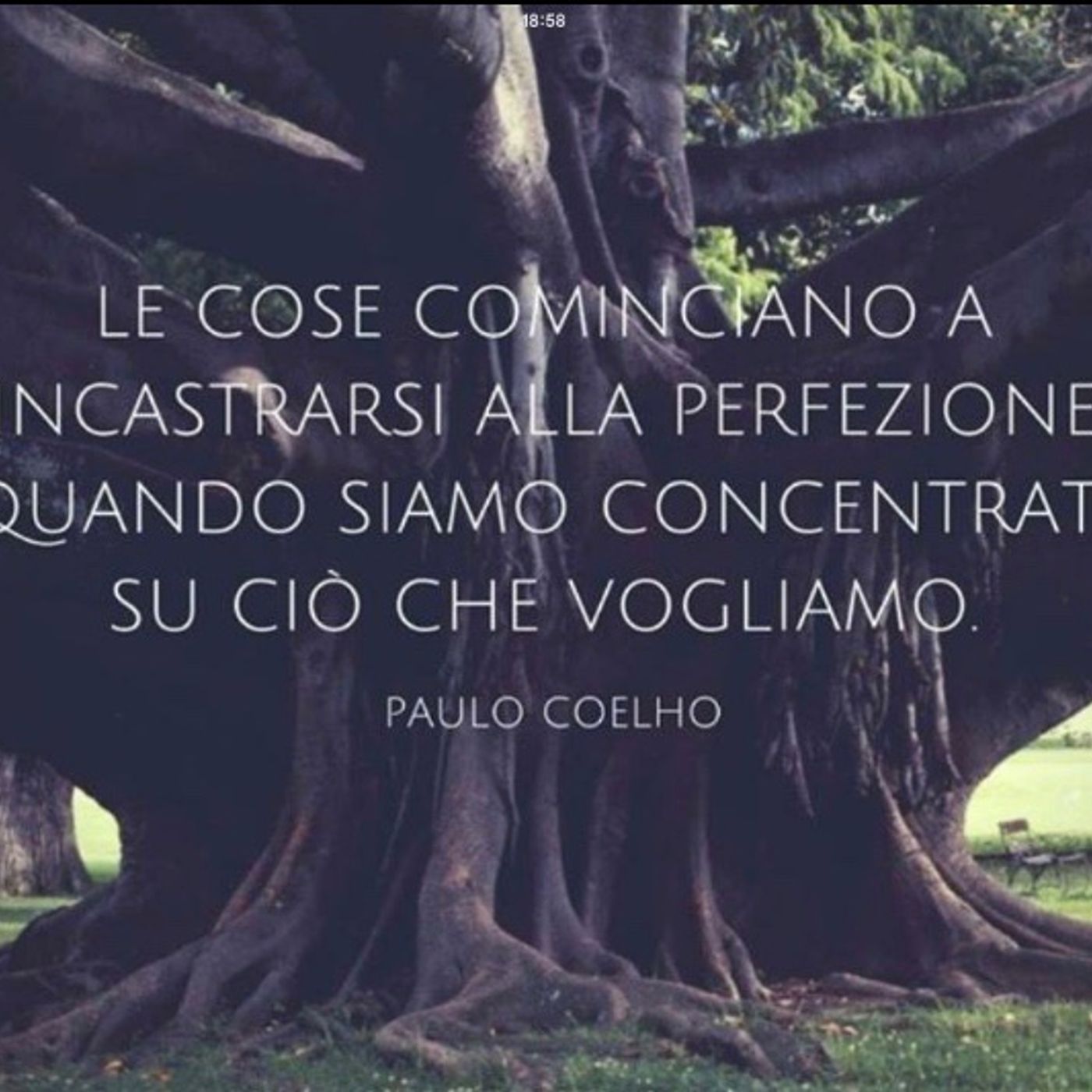 Il Buongiorno da casa di Baby