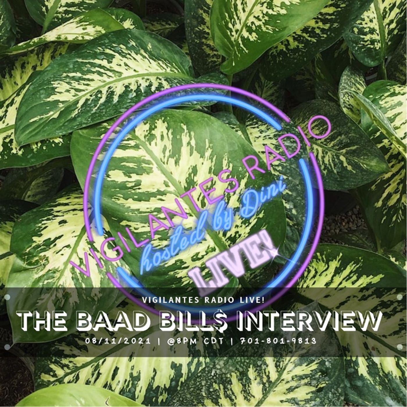The Baad Bill$ Interview. Image