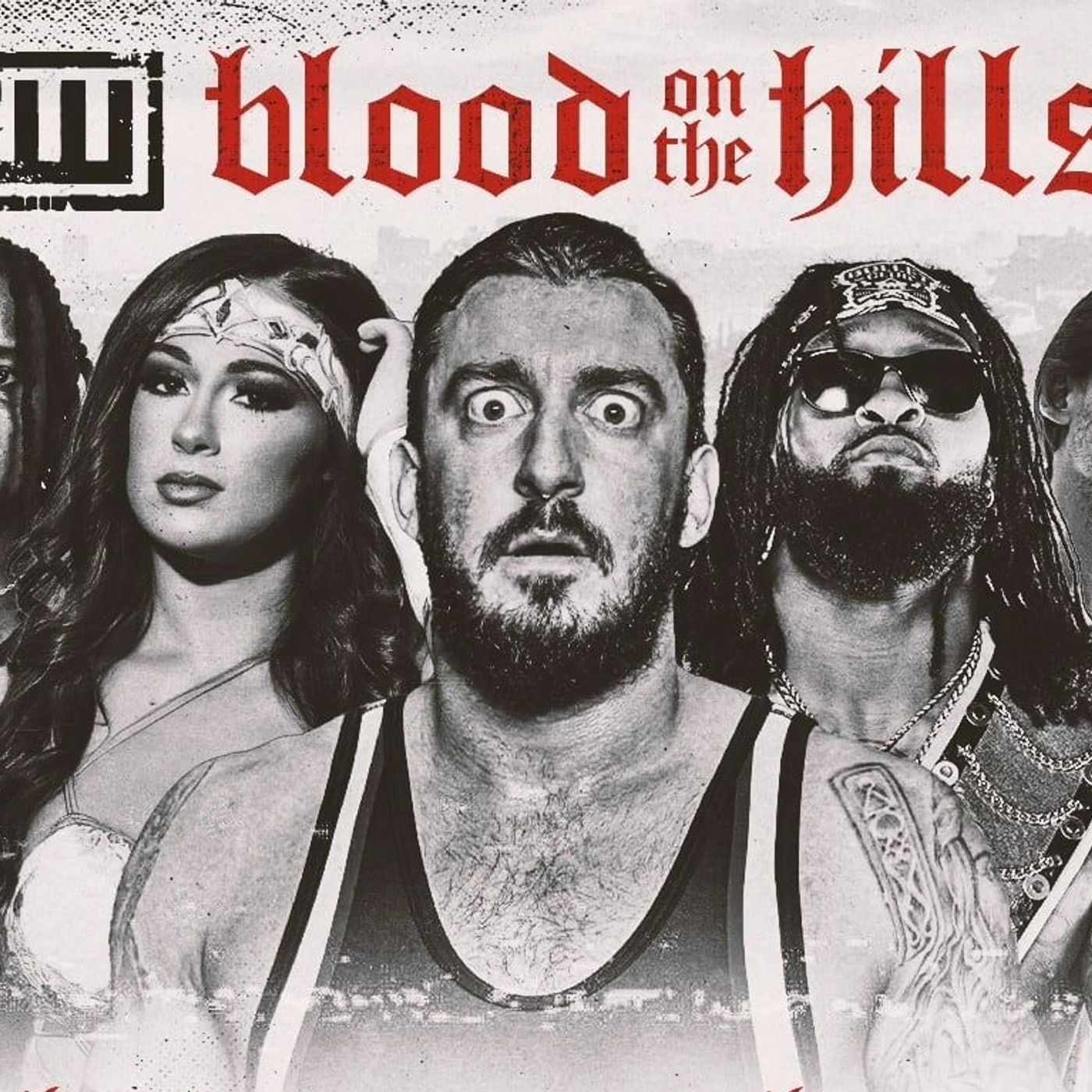 The Wrestling Enthusiast Podcast