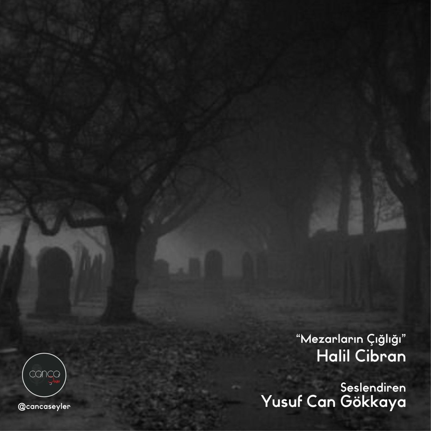 Öykü | Halil Cibran - Mezarların Çığlığı episode artwork