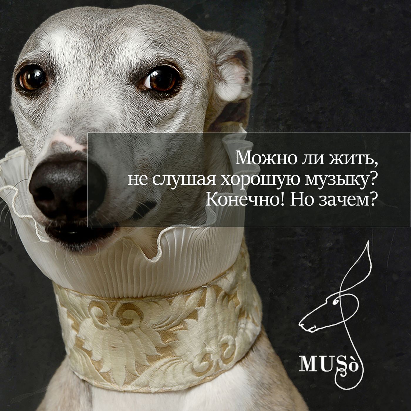 Можно ли жить, не слушая хорошую музыку? Конечно! Но зачем? episode artwork