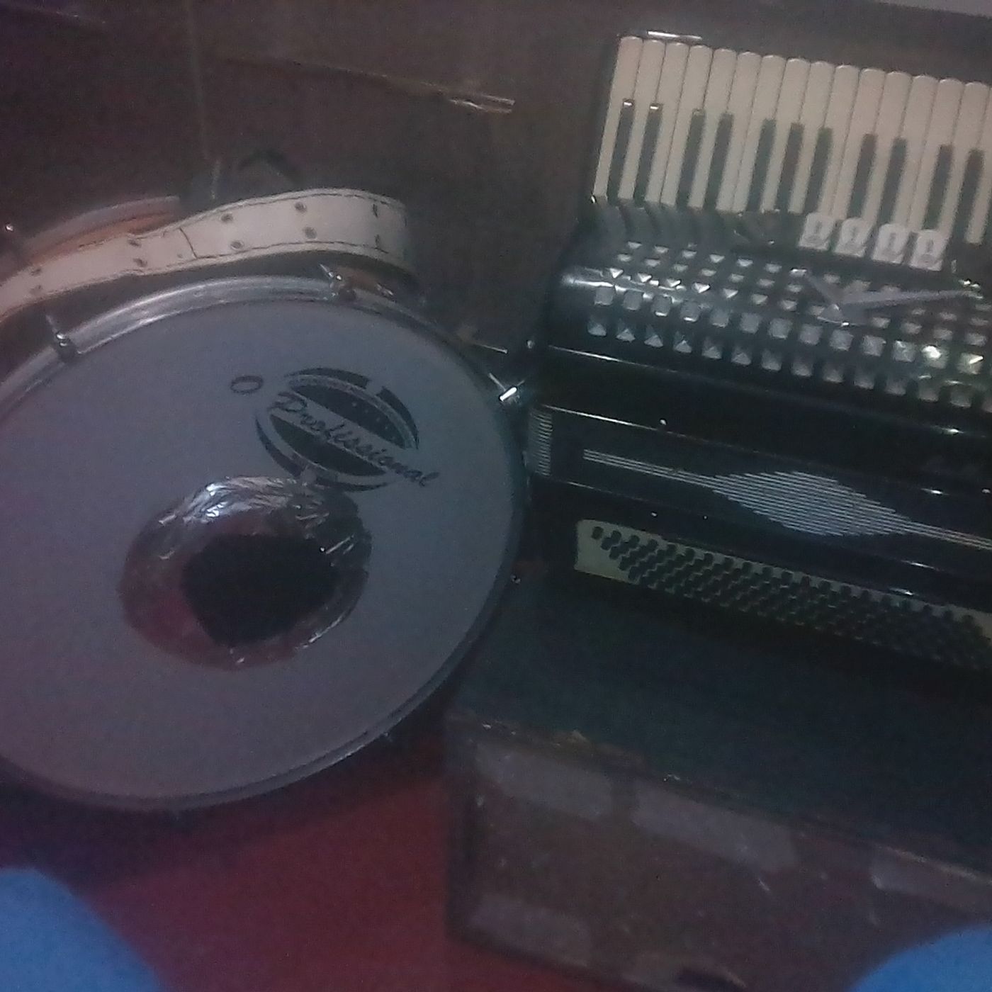 Adeval Do Acordeo Ao Vivo