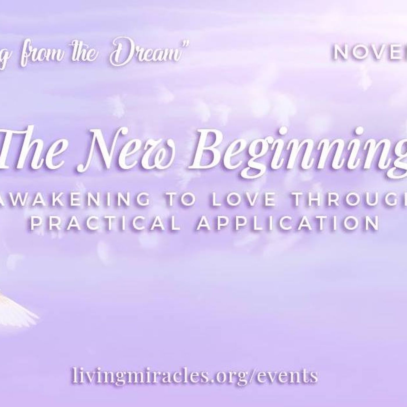 "The New Beginning: Awakening to Love through Practical Application" Online Retreat: Session with David Hoffmeister episode artwork