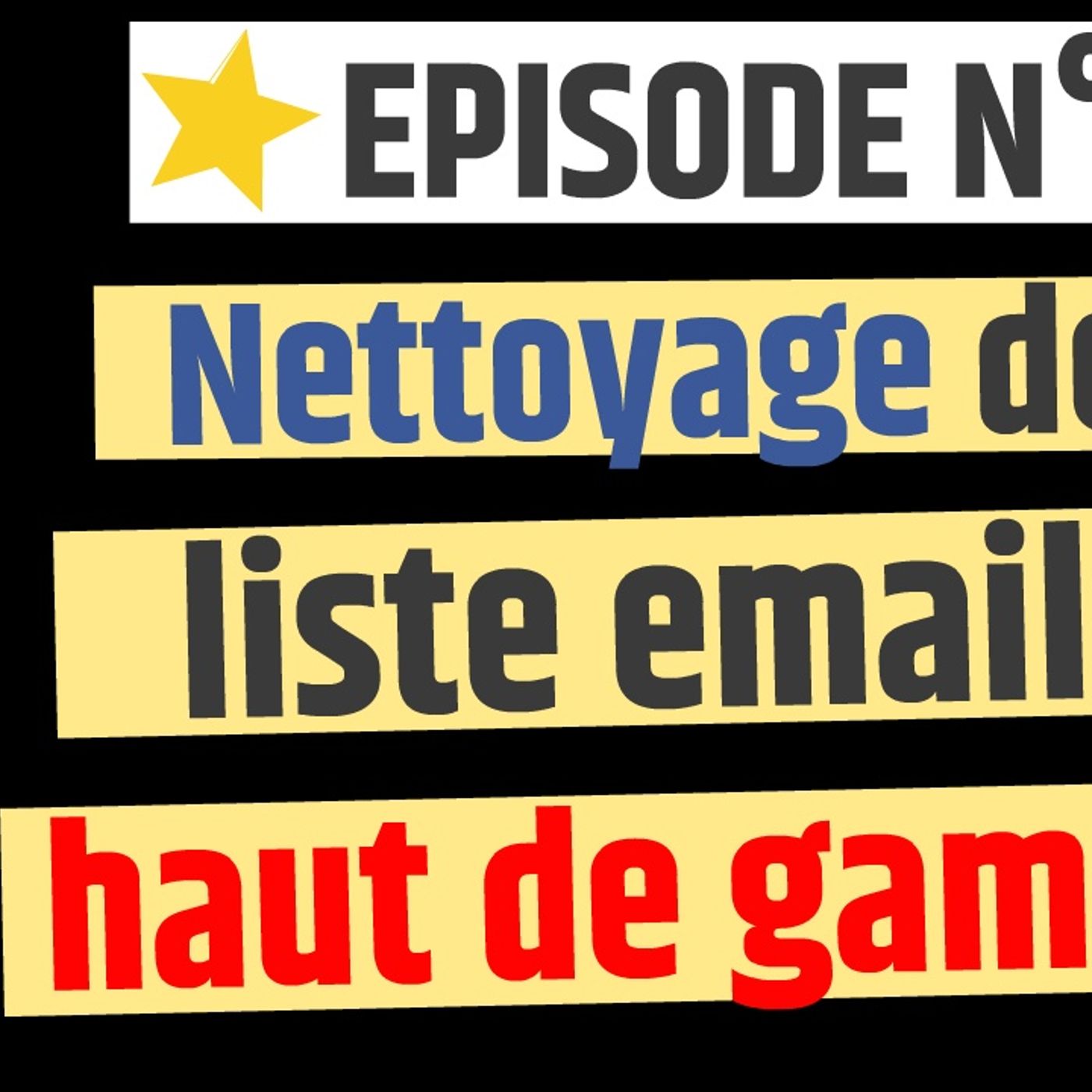 Web2fou.fr - Nettoyer sa liste email proprement episode artwork