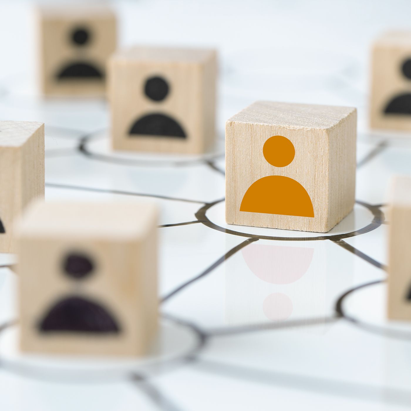 Comunicazione e social media - stagione 1