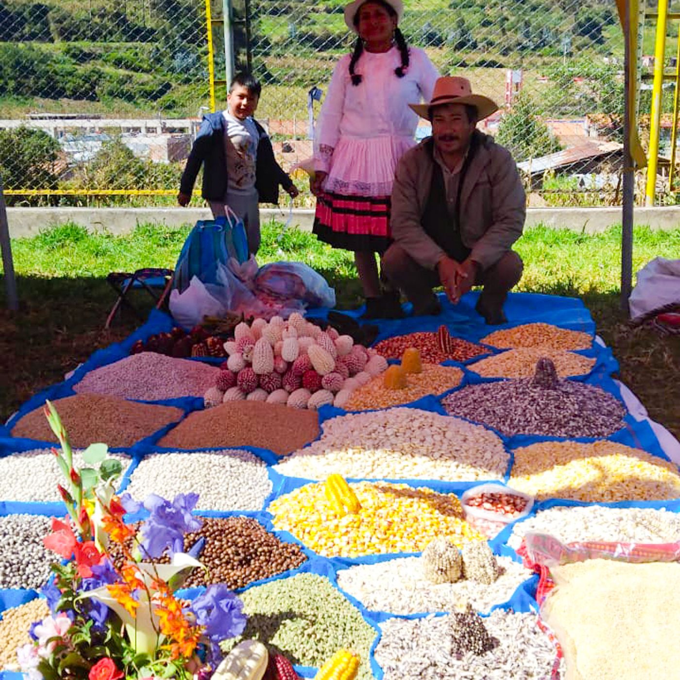 Radio en vivo - Limatambo - Cusco - Perú
