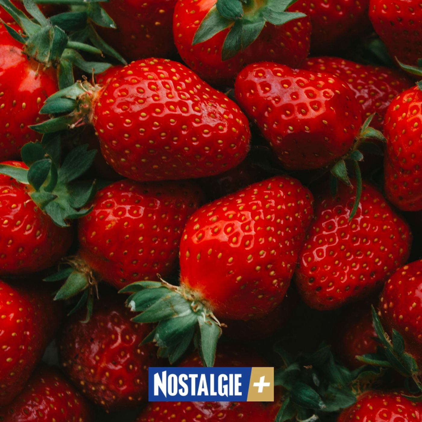 La fraise n'est pas un fruit ? Découvrez les secrets botaniques de vos gourmandises d'été episode artwork