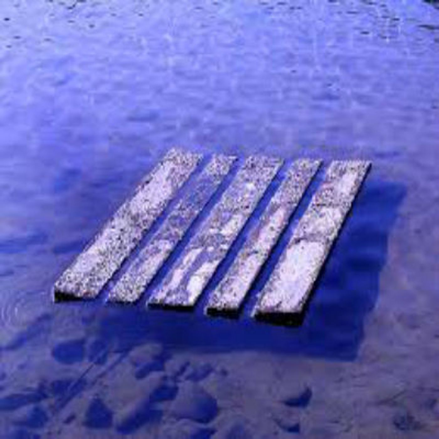 The Seaside Traveler