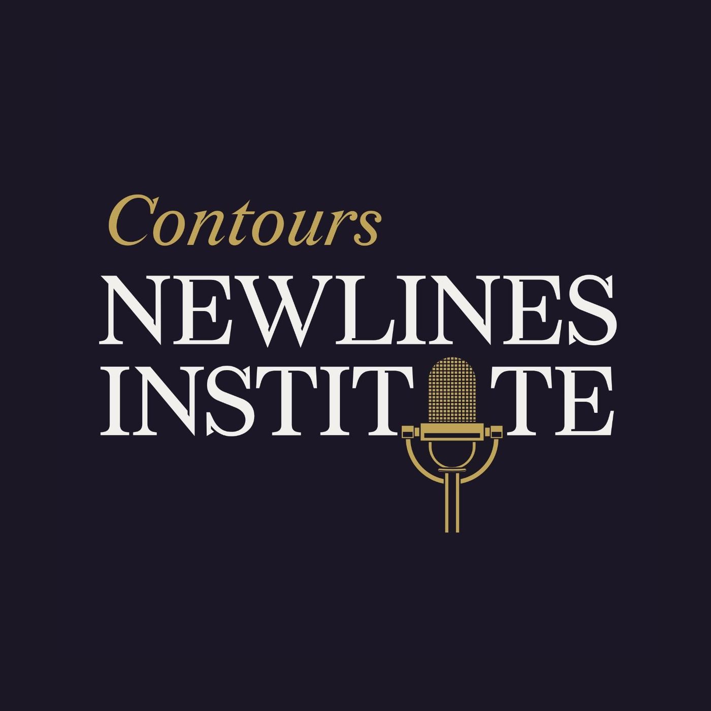 Newlines Institute for Strategy and Policy