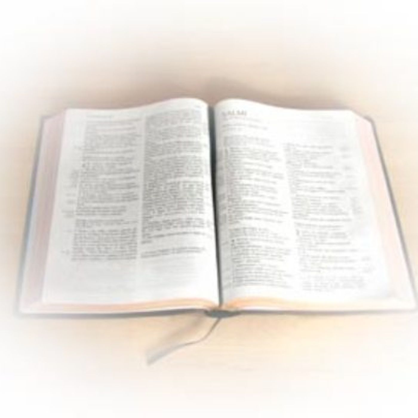 A tu x tu con la Bibbia