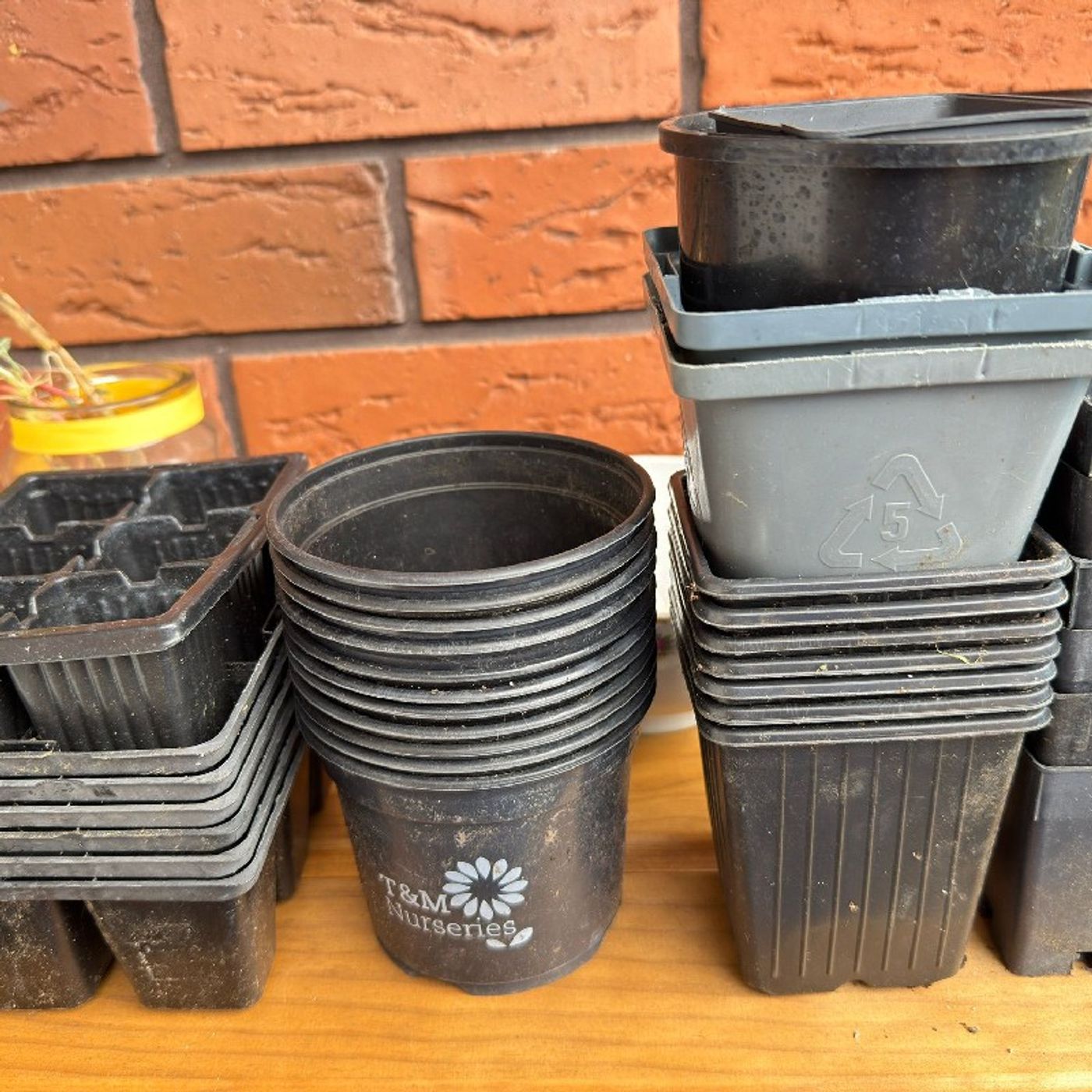 Walk the Mic with Charles the Kiwi