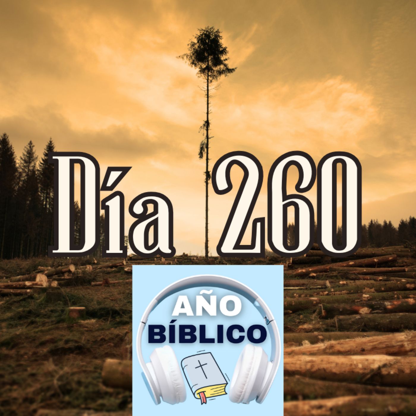 Día 260 - Salmo 105:26-36, Isaías 37:21-38; Isaías 38-39 y Gálatas 1:11-24 episode artwork