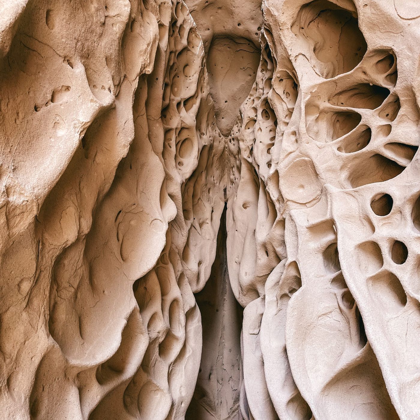 Grotte di Soprasasso viaggio nel tempo geologico dell’Appennino bolognese episode artwork