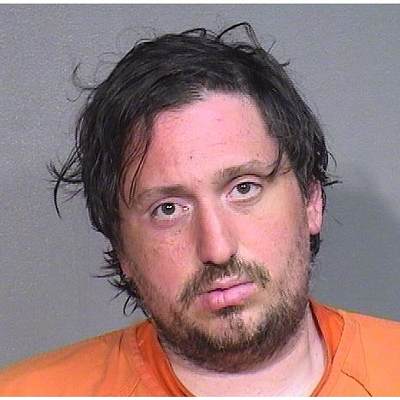 Wonder Lake man pleads guilty to possessing child sex abuse image, gets prison episode artwork