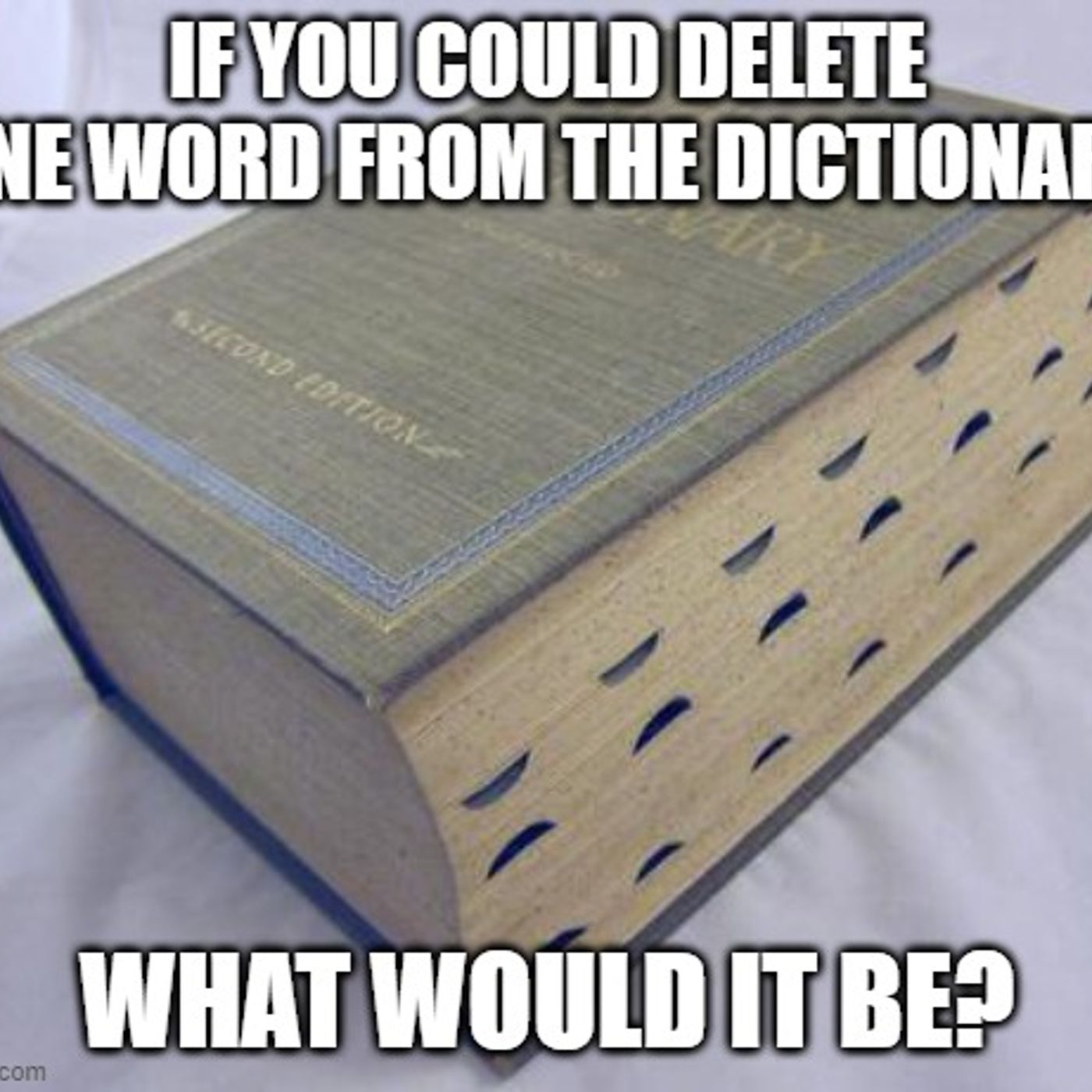 Dumb Ass Question: If You Could Delete One Word From the Dictionary episode artwork